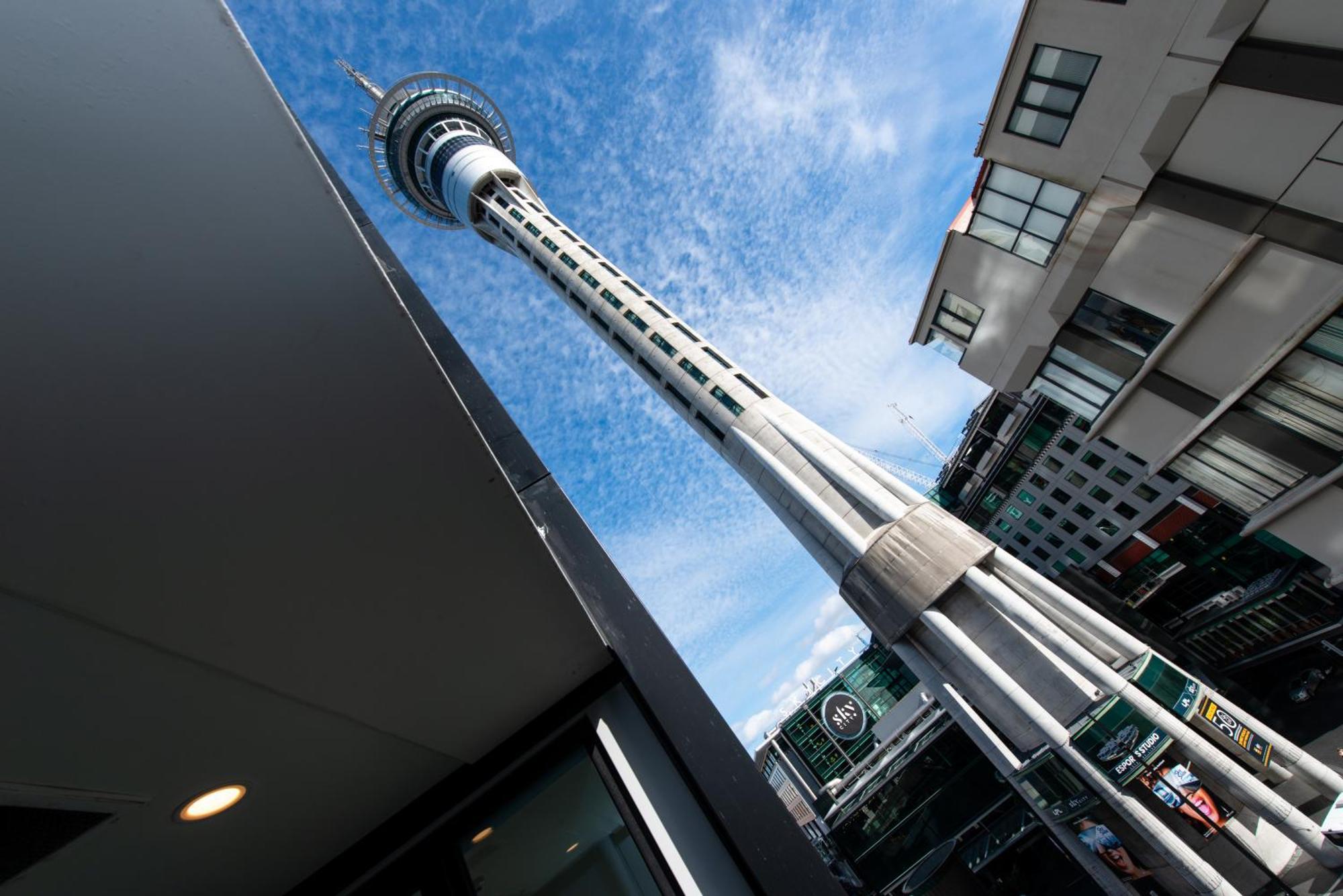 Sky Stars Essential Reserve Auckland Room photo